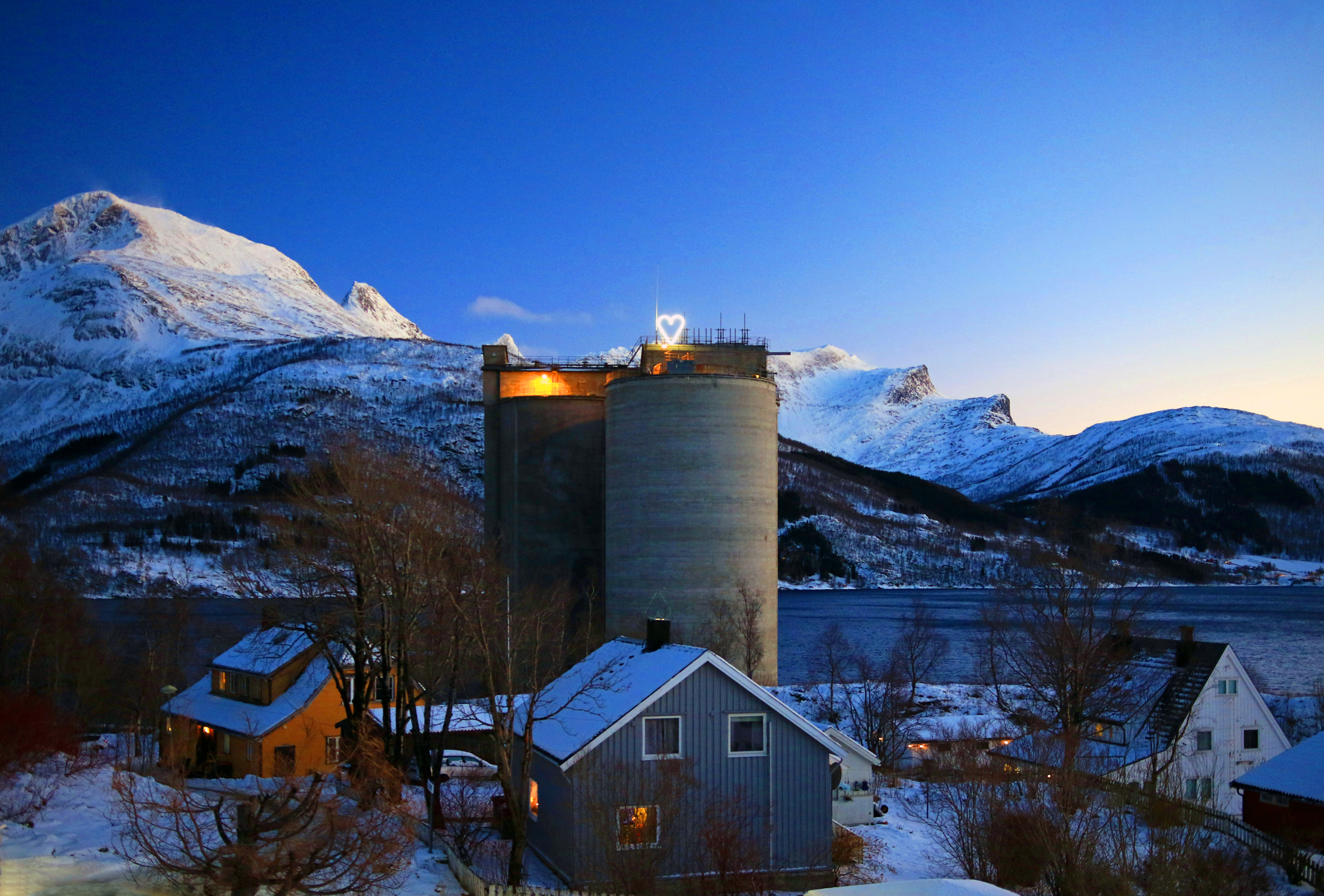 Kjøpsvik julestjerne